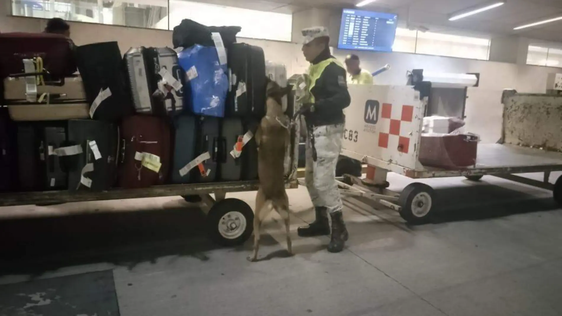 AEROPUERTO GUADALAJARA